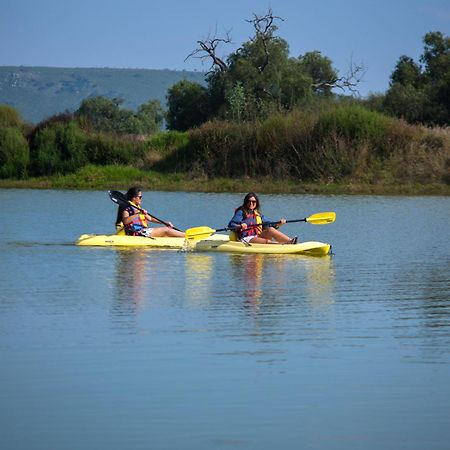 Hacienda Tovares Cadereyta de Montes Kültér fotó