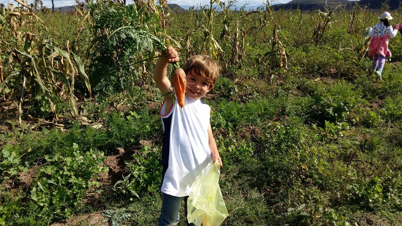 Hacienda Tovares Cadereyta de Montes Kültér fotó
