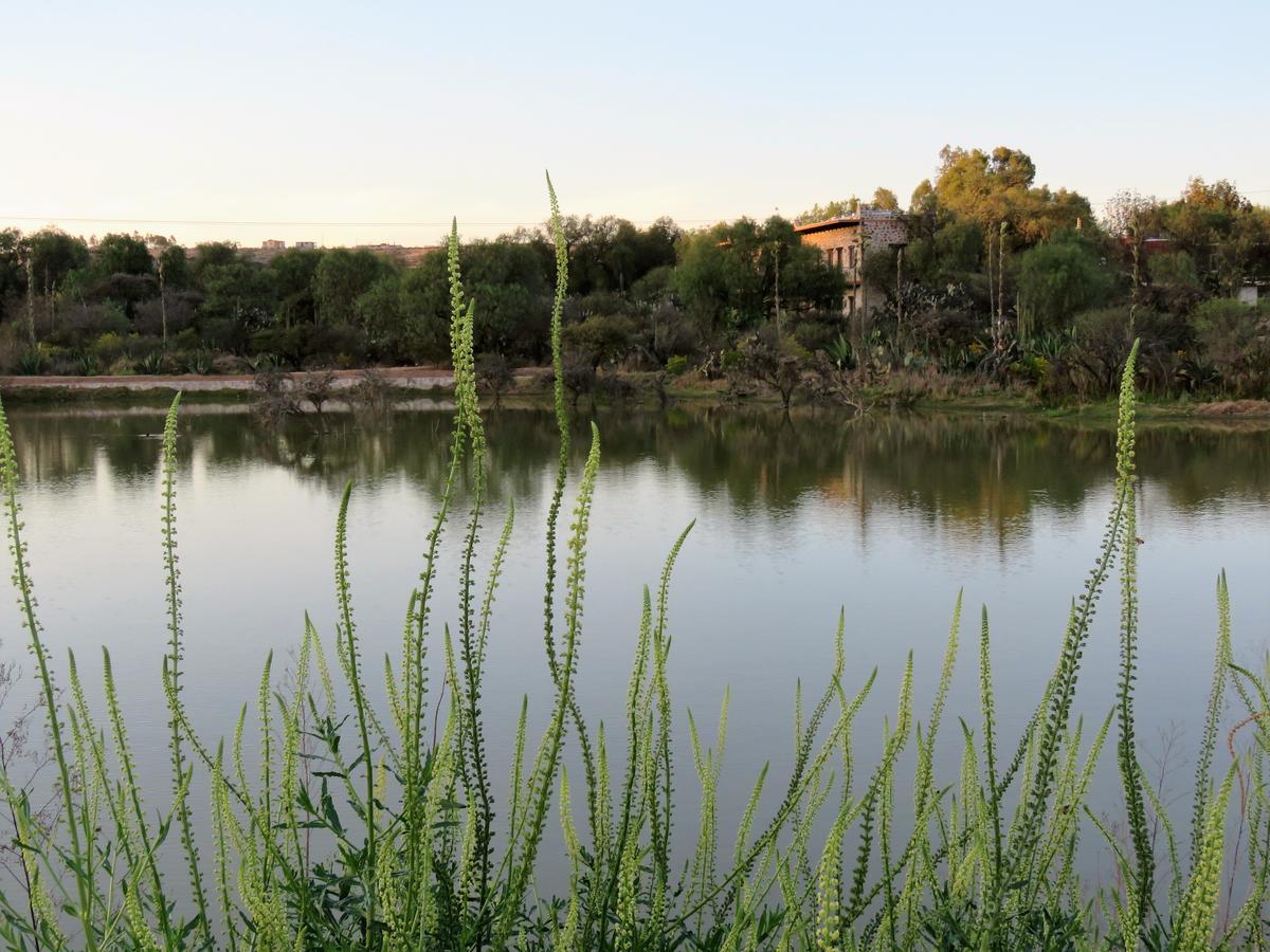 Hacienda Tovares Cadereyta de Montes Kültér fotó
