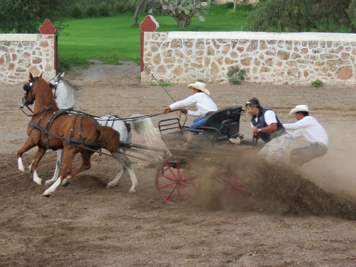 Hacienda Tovares Cadereyta de Montes Kültér fotó