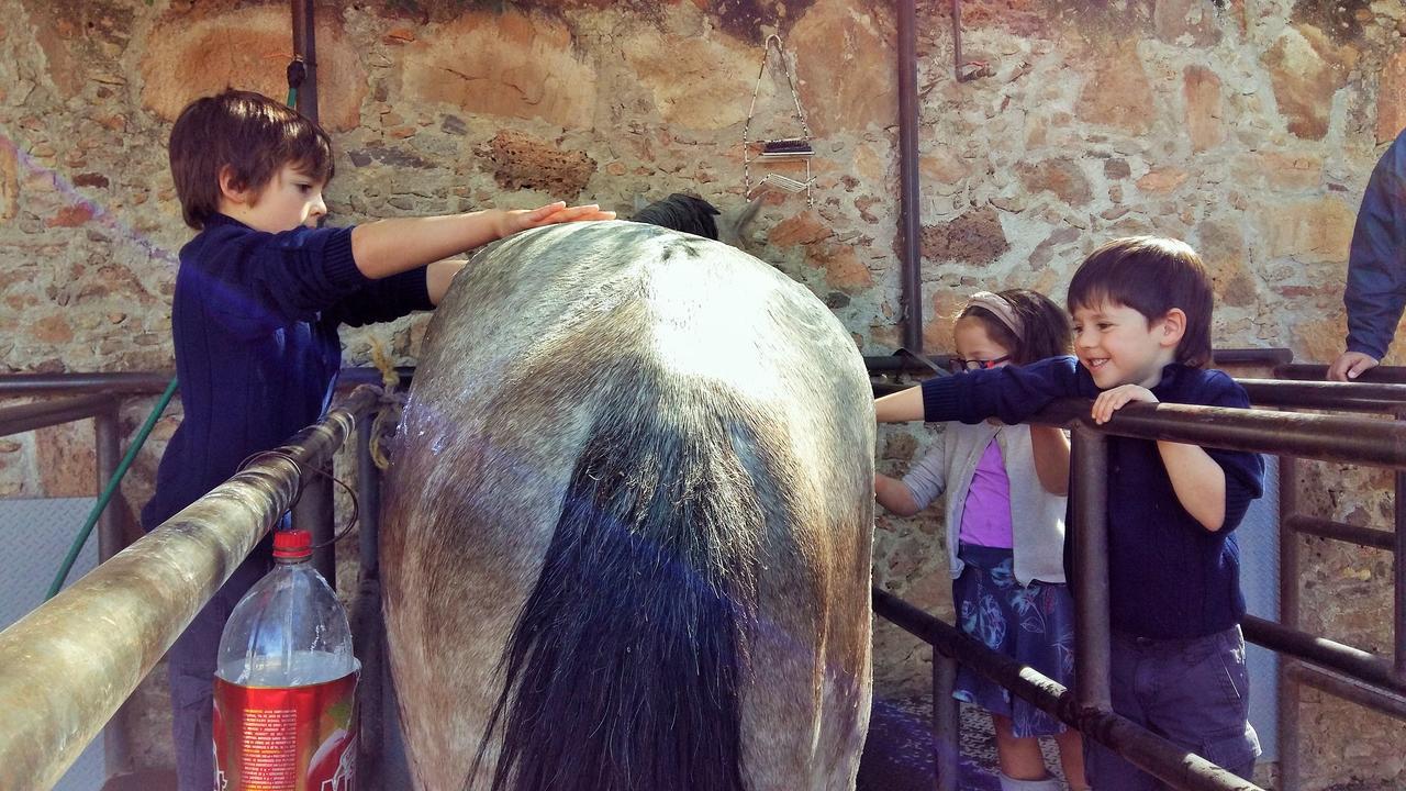 Hacienda Tovares Cadereyta de Montes Kültér fotó